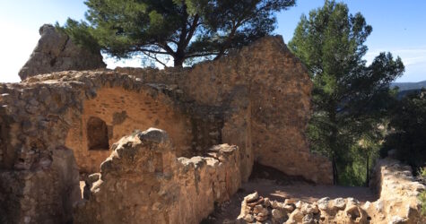 Balade de Provence (février)
