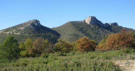 Balade de Provence (mars)