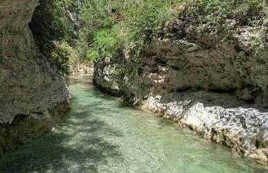 Balade de Provence (juin)